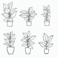 simplicidade borracha fig planta desenho à mão livre design plano. vetor
