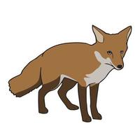 vetor de ilustração de raposa
