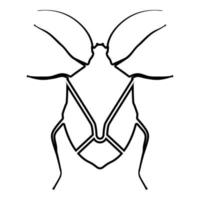 inseto percevejo chinch insetos verdadeiros hemípteros inseto vetor
