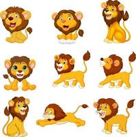 coleção de leões dos desenhos animados em fundo branco vetor