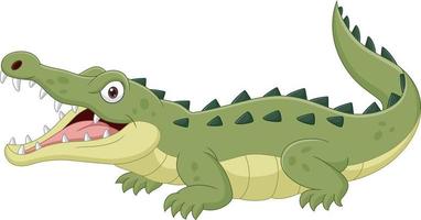 crocodilo de desenho animado isolado no fundo branco vetor