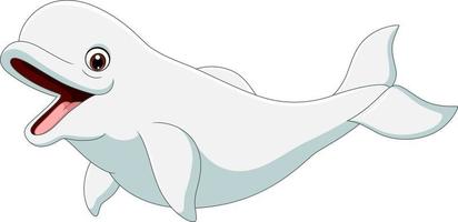 beluga dos desenhos animados isolada no fundo branco vetor