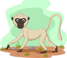 macaco vervet dos desenhos animados no campo vetor