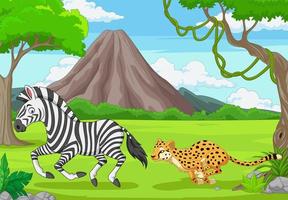 a chita está perseguindo uma zebra em uma savana africana vetor