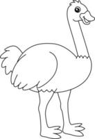 página para colorir avestruz isolada para crianças vetor