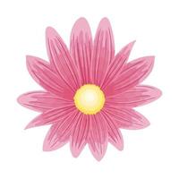 flor rosa, conceito de primavera em fundo branco vetor