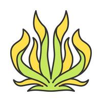 ícone de cor da planta do século. agave americana. suculenta do deserto. aloé americano. arbusto de grama. algas marinhas. ilustração vetorial isolada
