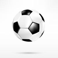 Bola de futebol 3D preto e branco sobre fundo branco 001 vetor