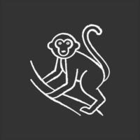 macaco no ícone de giz de liana. animal do país tropical, mamífero. explorando a vida selvagem exótica das ilhas da indonésia. escalada de primatas. visitando a fauna da floresta balinesa. ilustração de quadro-negro vetorial isolado vetor