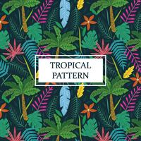 Tropical padrão com palmeiras e folhas