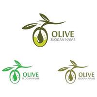 design de ícone de modelo de logotipo de azeite vetor de vegetais de frutas de saúde