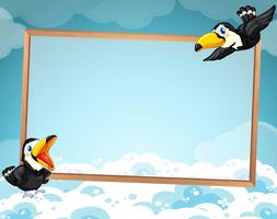 Projeto de fronteira com dois tucanos voando vetor