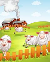 ovelhas na fazenda vetor