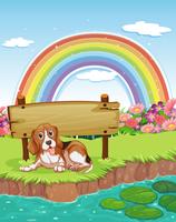 Cão e arco-íris vetor