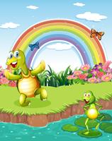 Uma tartaruga e um sapo jogando no lago com um arco-íris acima vetor