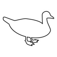 pato macho pato-real ave aquática aves aquáticas vetor
