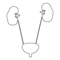bexiga e rim o ícone de cor preta vetor