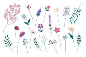 coleção de flores isolada. conjunto de elementos de design floral plana de vetor. flores desabrochando de sakura, lavanda, camomila e outros em fundo branco vetor