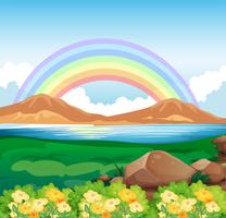 Uma visão do arco-íris e a beleza natural vetor