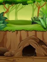 cena de fundo com caverna subterrânea na selva