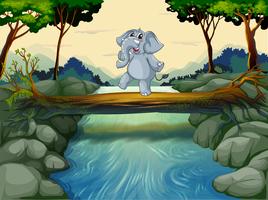 Um, elefante, cruzando rio vetor
