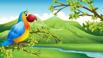 Um pássaro colorido perto da montanha vetor