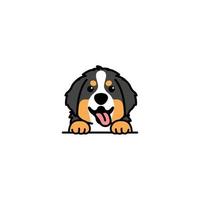 lindo cachorrinho de montanha bernese sorrindo desenho animado, ilustração vetorial vetor