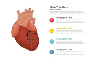 modelo de infográficos de coração humano com 4 pontos de descrição de texto de espaço livre - ilustração vetorial vetor