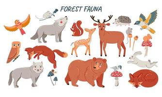 conjunto vetorial de animais fofos da floresta para chá de bebê e design infantil. coleção de animais da floresta - urso, raposa, lobo, coelho e pássaros vetor