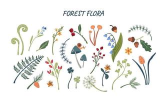 flora da floresta grande conjunto de plantas desenhadas à mão, cogumelos e ilustração vetorial de folhas. objetos isolados de botânica da floresta