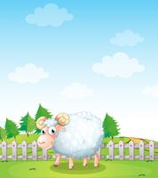 Uma ovelha dentro da cerca