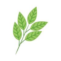 Leafs Plant icon vetor