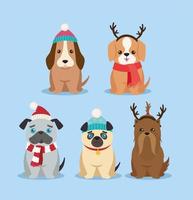 cinco cachorros fofos de natal vetor