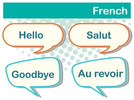 Diferentes expressões na língua francesa vetor