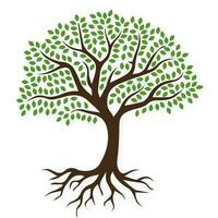 Árvore com raízes vetor