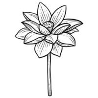 flores desenhadas à mão folhas de lótus naturais adesivos isolados ilustração de arte de linha botânica preta