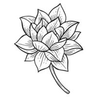 flores desenhadas à mão folhas de lótus naturais adesivos isolados ilustração de arte de linha botânica preta vetor