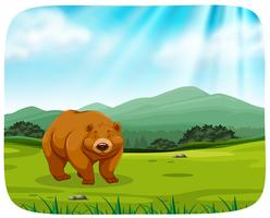 urso bonito na natureza vetor