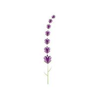 design plano de vetor de logotipo de flor de lavanda fresca