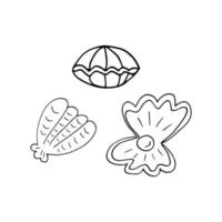 ostra com pérola conjunto doodle desenhado à mão. , minimalismo, escandinavo, monocromático, nórdico. vida marinha, ícone de etiqueta do oceano de mariscos do mar vetor