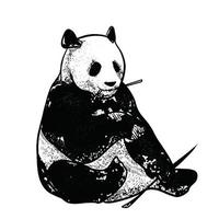 ilustração de panda em fundo branco vetor