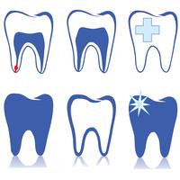 Conjunto de dentes. Sinal de dentes brancos. Coleção isolada médica dental. vetor