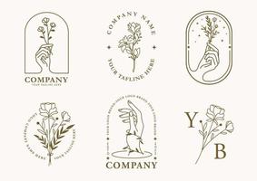 coleção de elementos vetoriais de logotipo decorativo floral simples e estética vetor