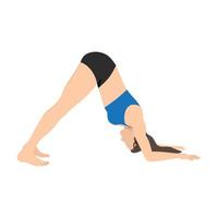 mulher fazendo pose de golfinho ardha pincha mayurasana exercício. ilustração vetorial plana isolada no fundo branco vetor