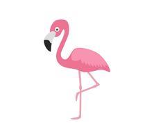 Flamingo rosa de ilustração vetorial isolado no fundo branco