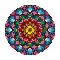 Linda mandala colorida 2 vetor