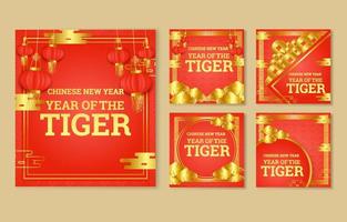 postagens de mídia social do ano do tigre vetor
