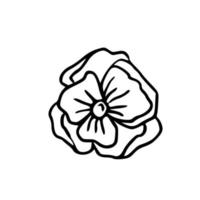 ilustração botânica. samambaia, eucalipto, buxo. fundo floral vintage. elementos de design vetorial. isolado. Preto e branco. vetor