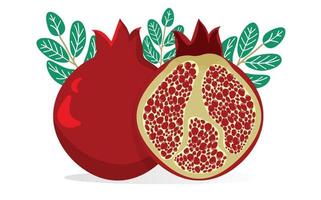 romã. romã é uma fruta inteira e meio cortada. ilustração vetorial vetor