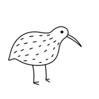 pássaro kiwi. animal australiano raro. estilo de desenho preto e branco. vetor